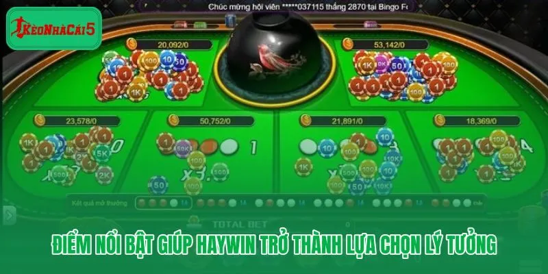 Haywin nổi bật nhờ trải nghiệm thuận tiện và giá trị người dùng rõ ràng